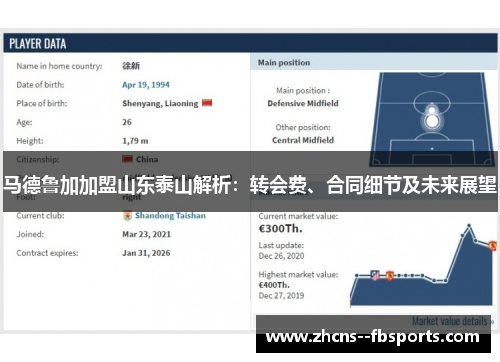 马德鲁加加盟山东泰山解析：转会费、合同细节及未来展望